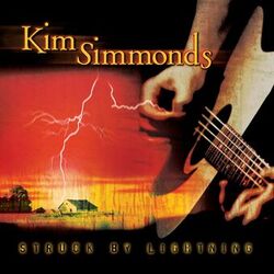 Cover of Struck By Lightning