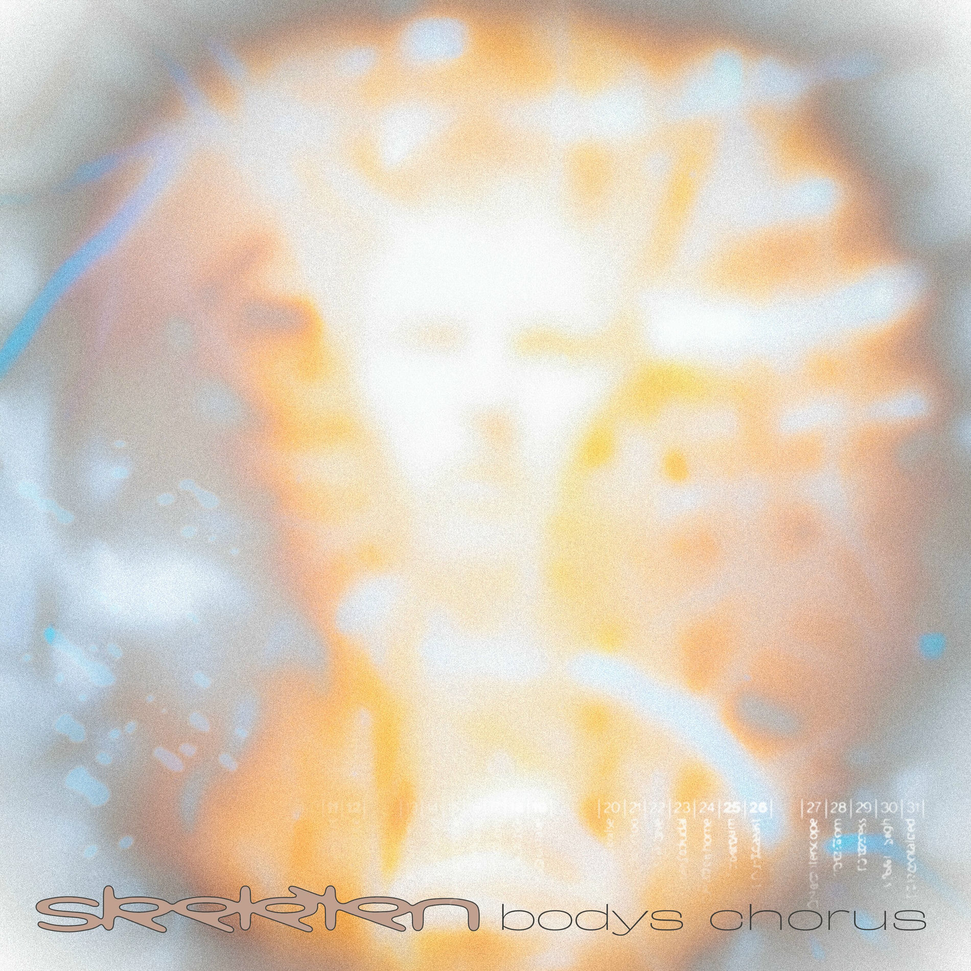 Album cover of Bodys Chorus