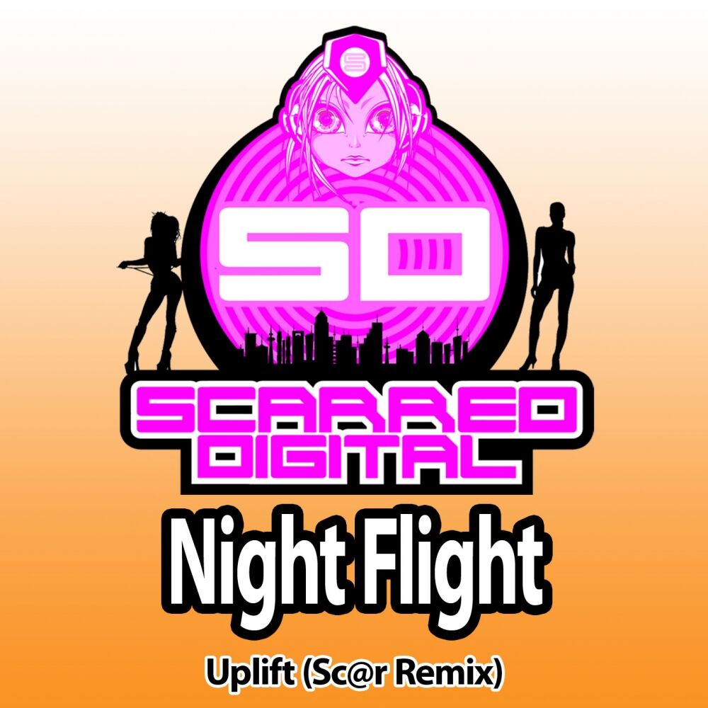 Picture of Night Flight