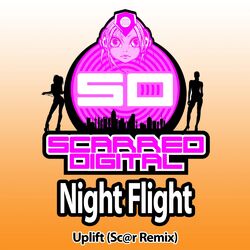 Cover of Night Flight