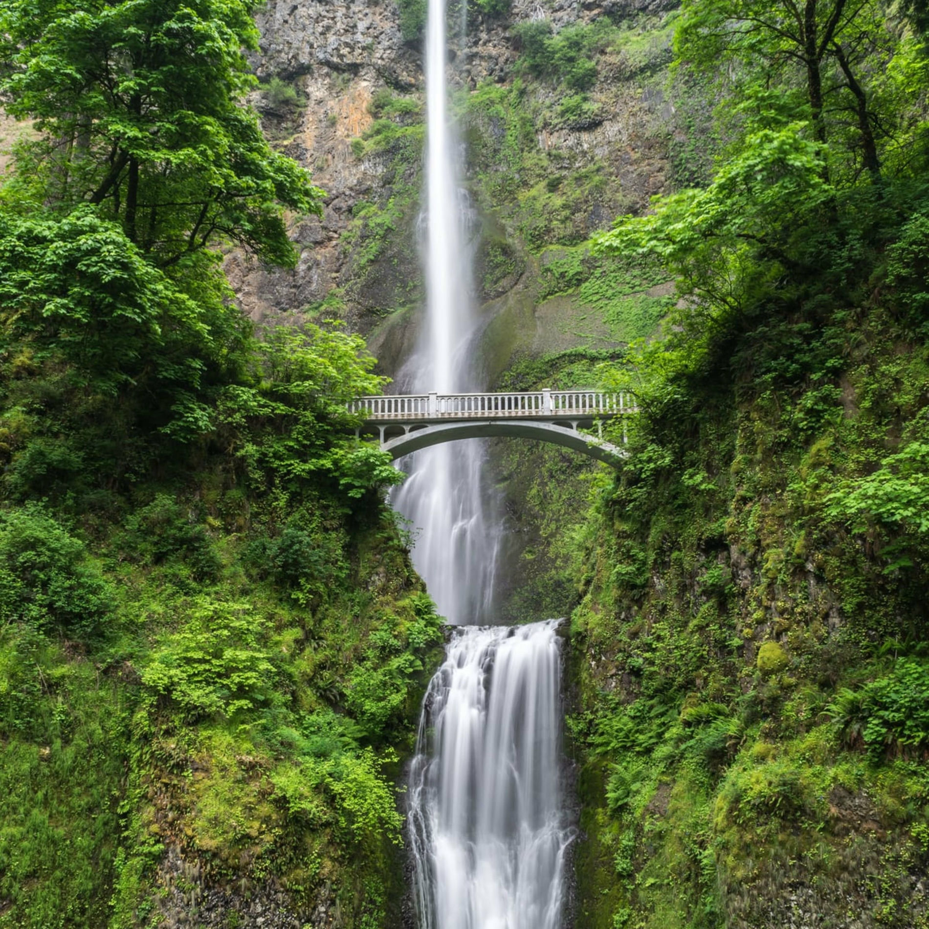 Album cover of 50 Spa Sounds for Powerful Sounds