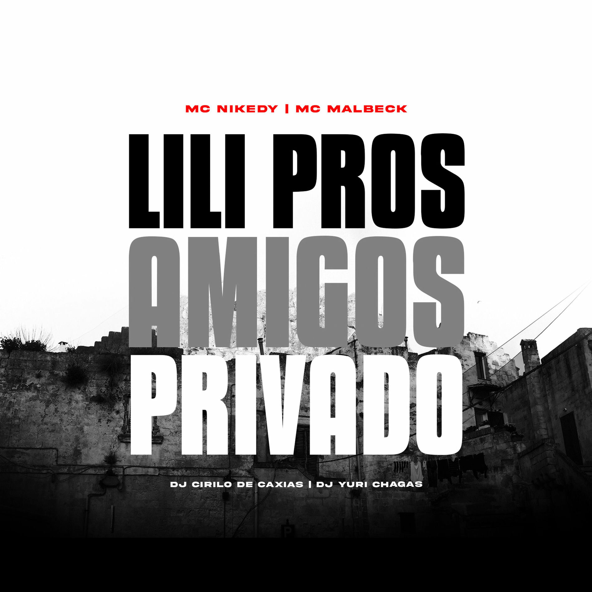 Album cover of Lili pros Amigos Privado