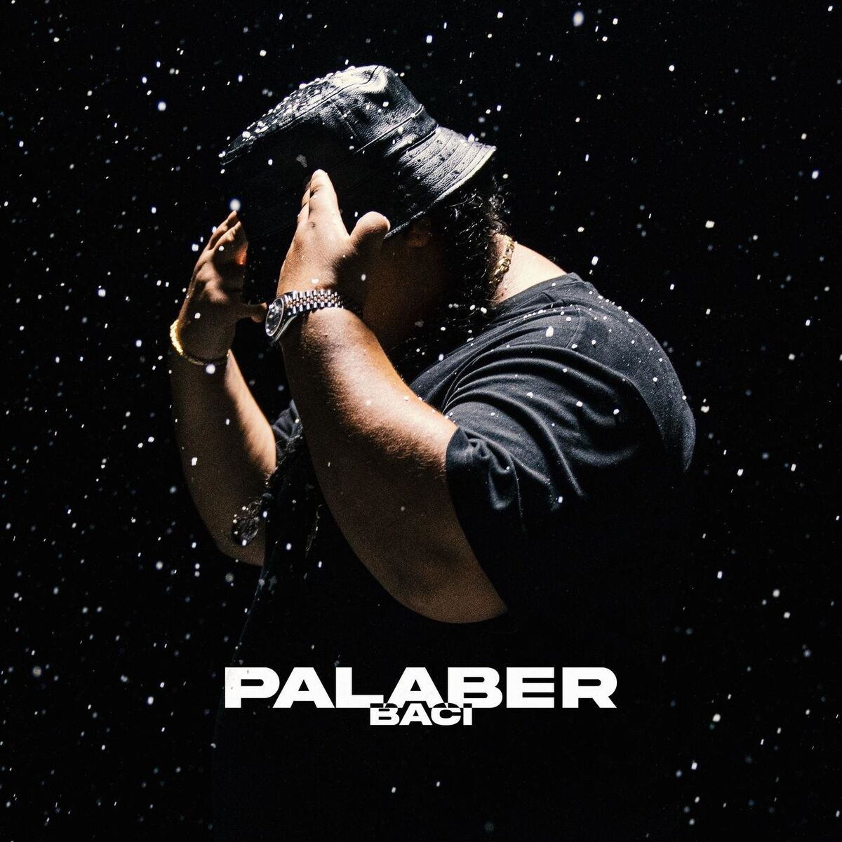 Album cover of Palaber