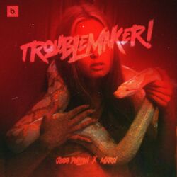 Cover of Trouble Maker