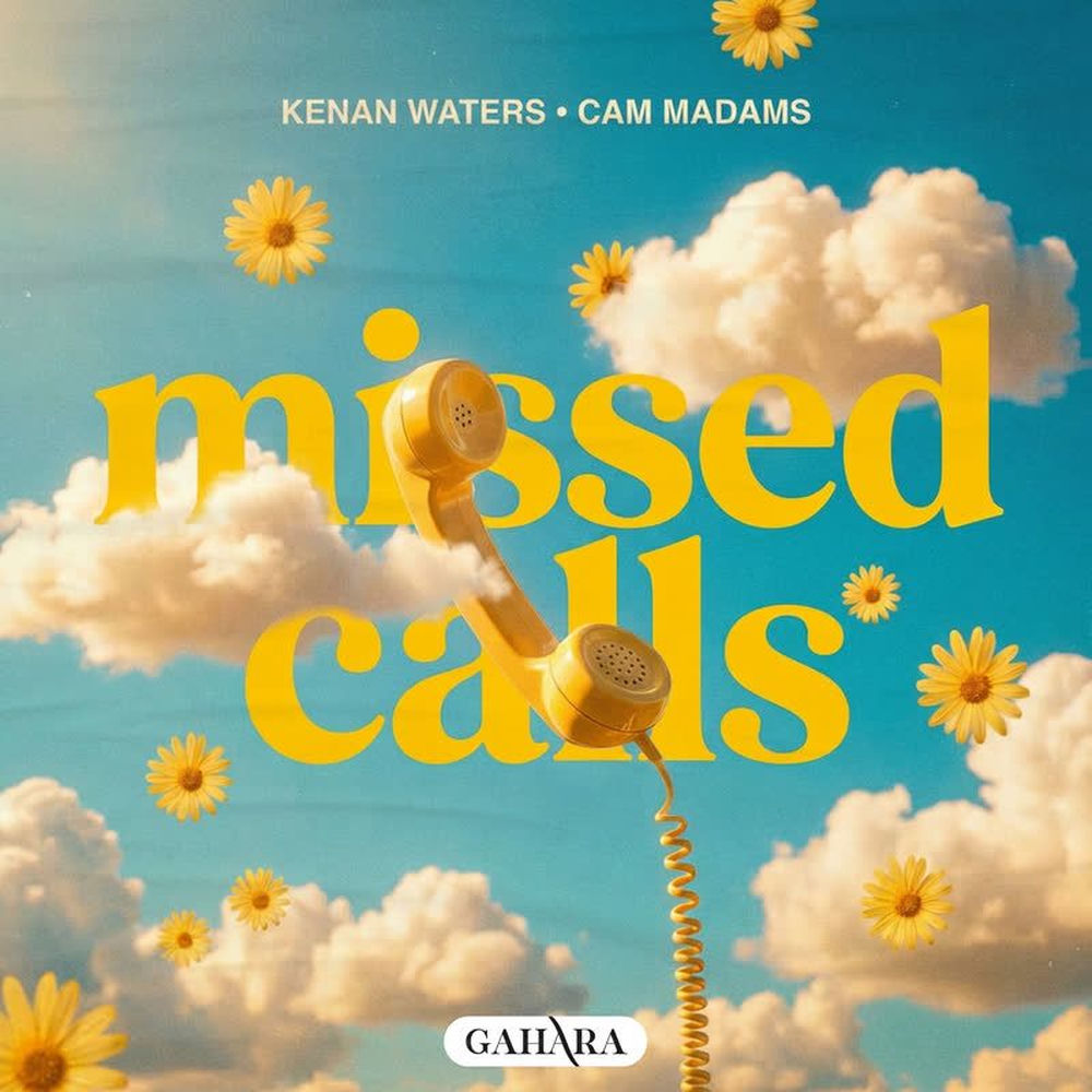 Album artwork for missed calls by Walter