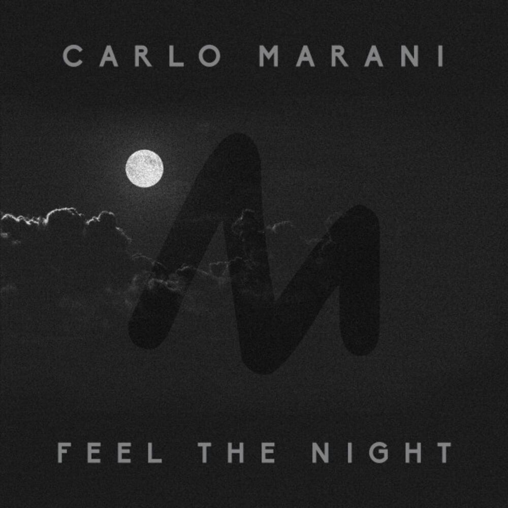 Picture of Feel the Night