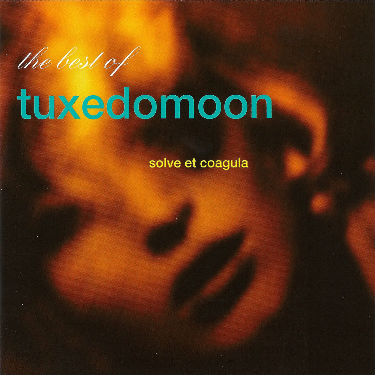 Album cover of Solve Et Coagula