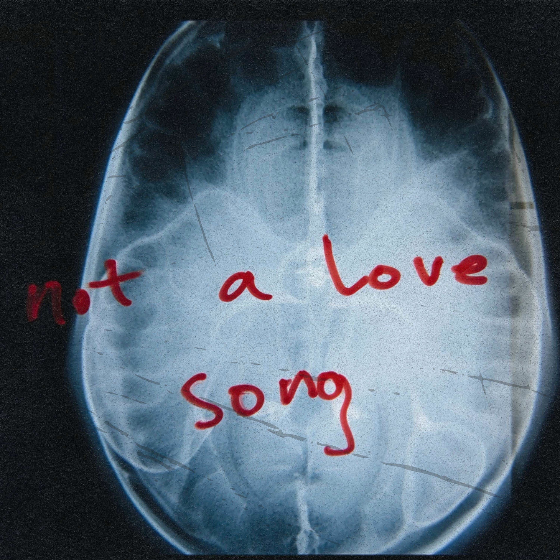 Album cover of not a love song