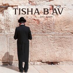 Cover of תשעה באב Tisha B'av: Instrumental Chants And Musical Elegies For The Ninth Of Av