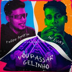 Cover of Vou Passar Gelinho
