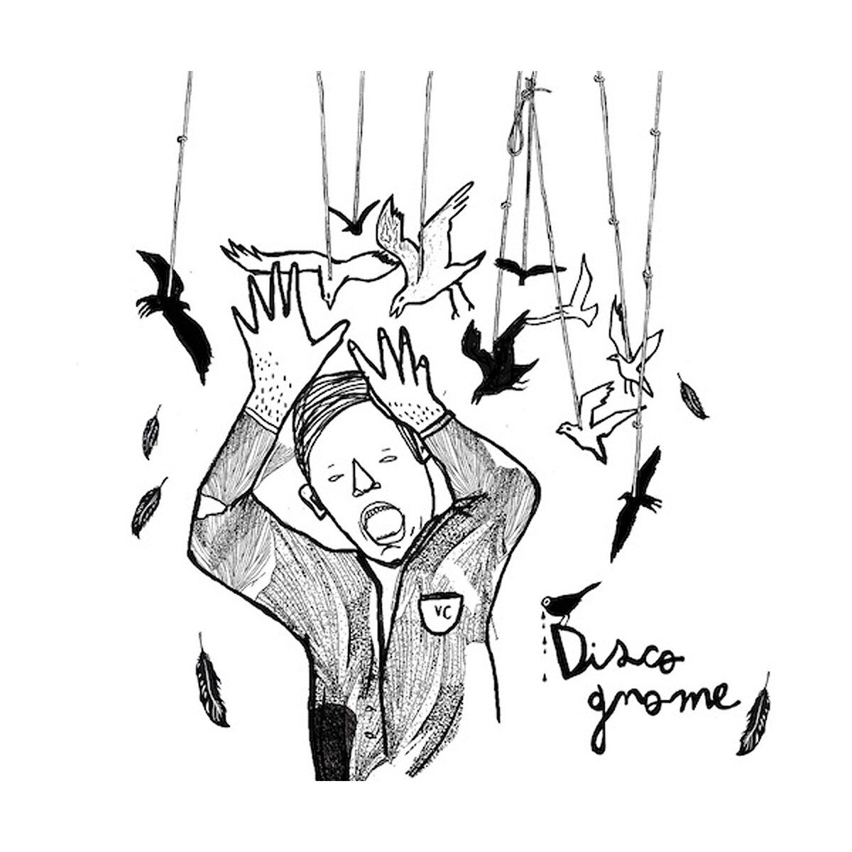 Album cover of Disco Gnome