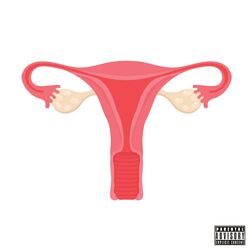 Cover of SONGS ABOUT WOMAN