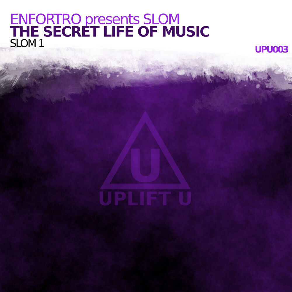 Picture of The Secret Life Of Music