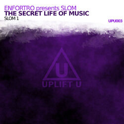 Cover of The Secret Life Of Music