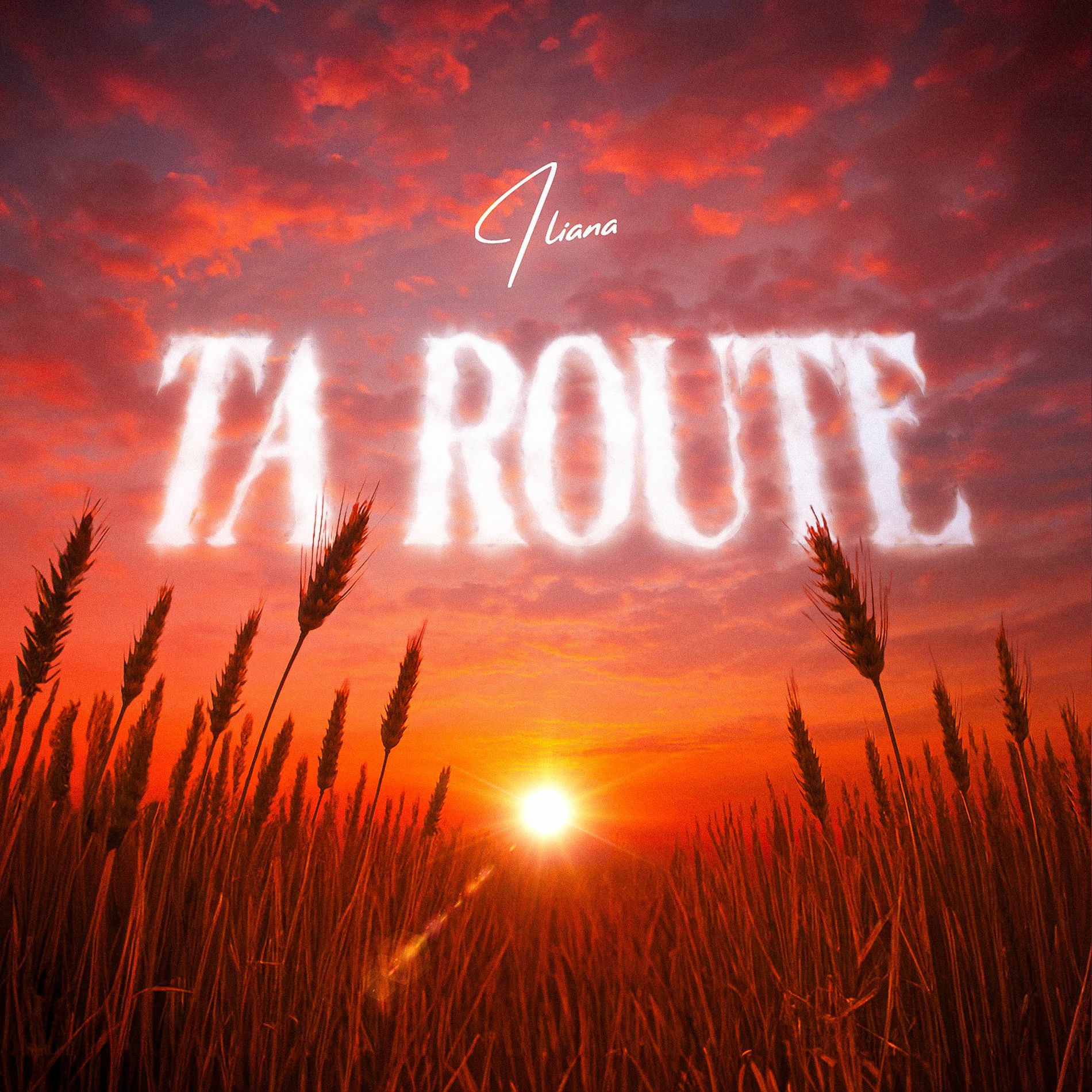 Album cover of Ta route