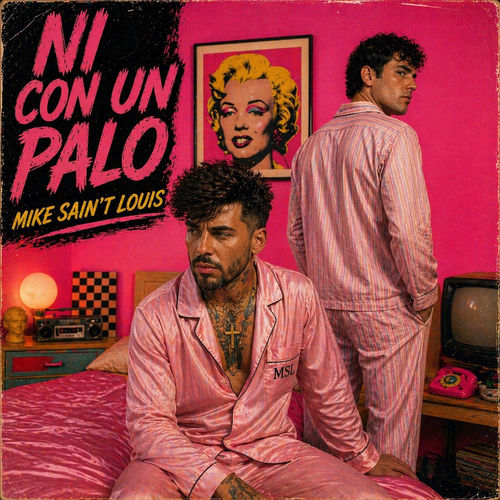 Portada de NI CON UN PALO