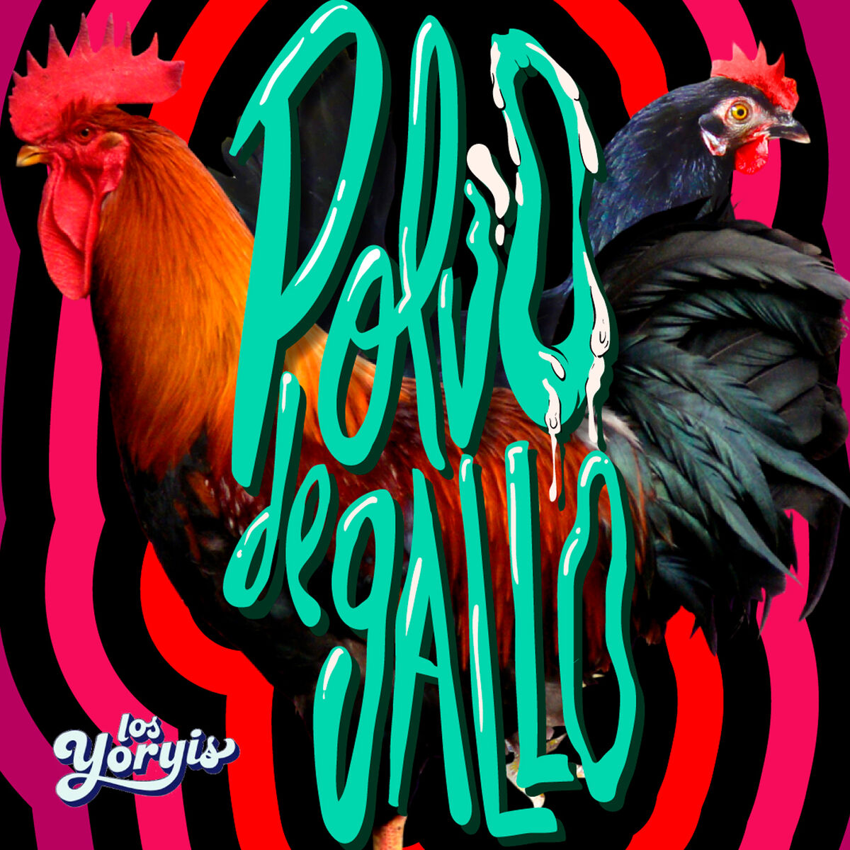 Album cover of Polvo' e Gallo