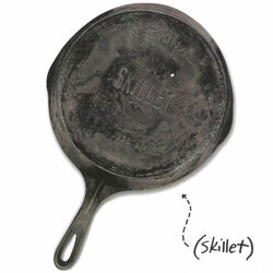 Cover of Skillet