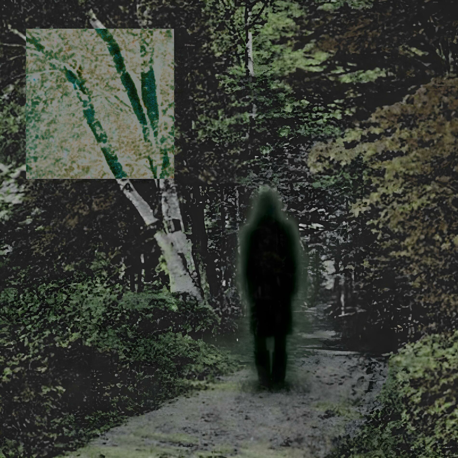 Album cover of all roads lead to roaming...