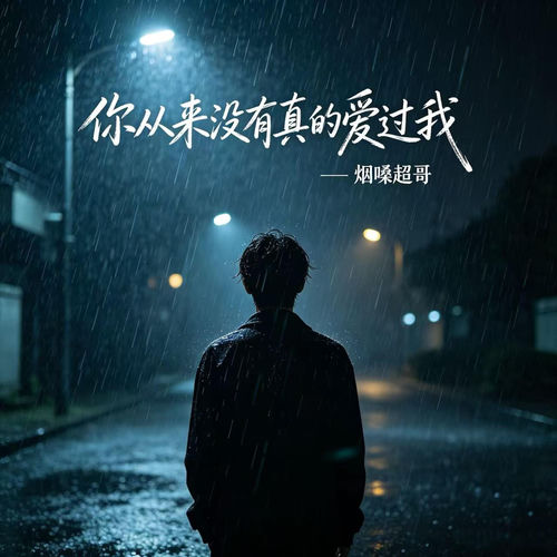 你从来没有真的爱过我