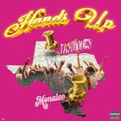 Cover of Hands Up
