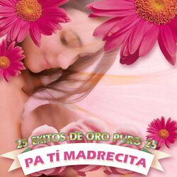 Cover of 25 Éxitos de Oro Puro Pa Tí Madrecita