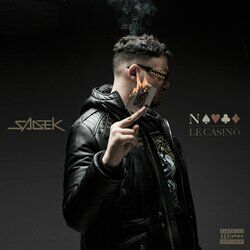 Cover of Nique le casino