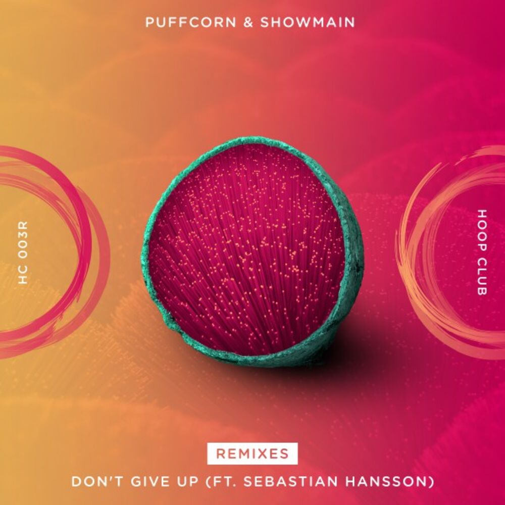 Picture of Don't Give Up (Ft. Sebastian Hansson) (Remixes)
