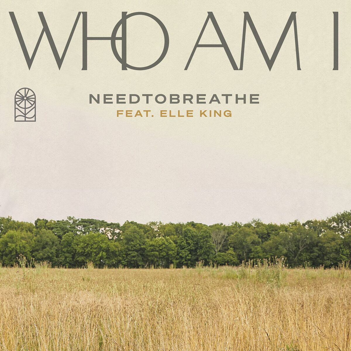 Album cover of Who Am I (feat. Elle King)