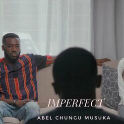 Cover of Imperfect