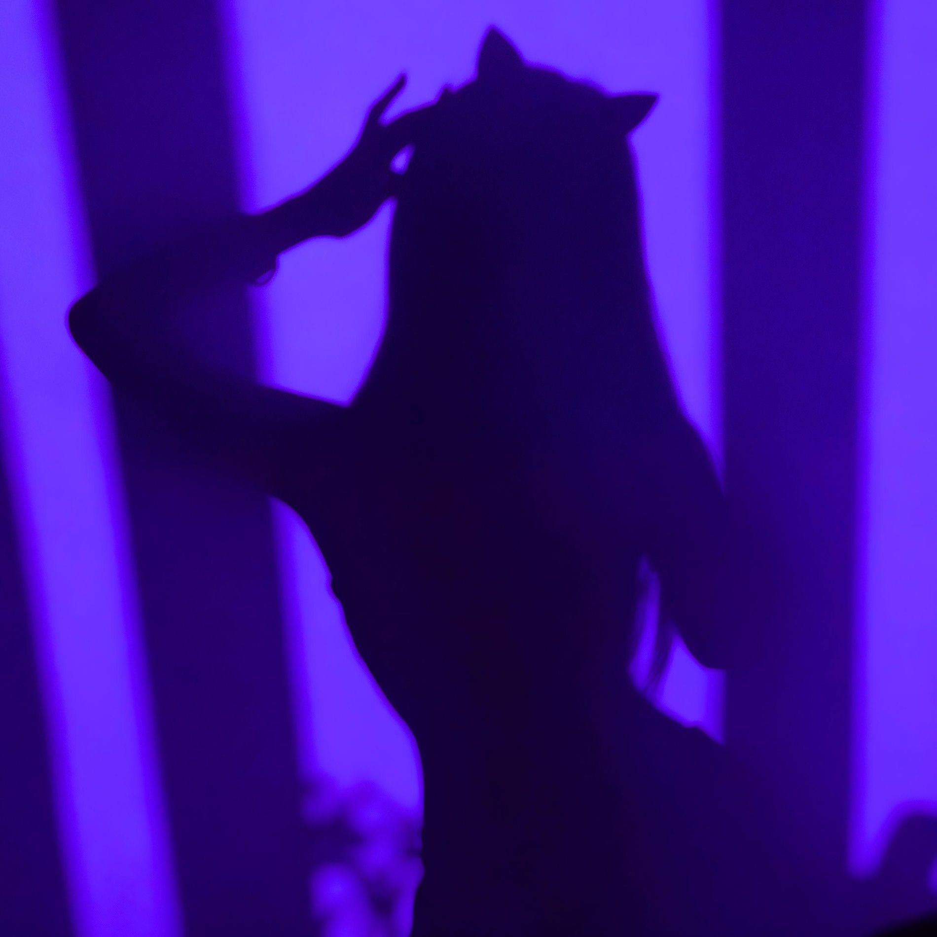 Album cover of Naughty Girl