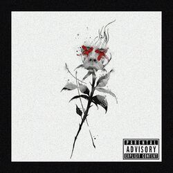 Cover of Tulips