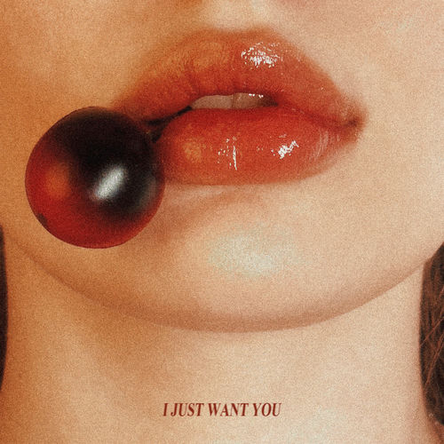 Beaver – I Just Want You – Single