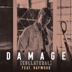 Cover of Damage (Collateral)