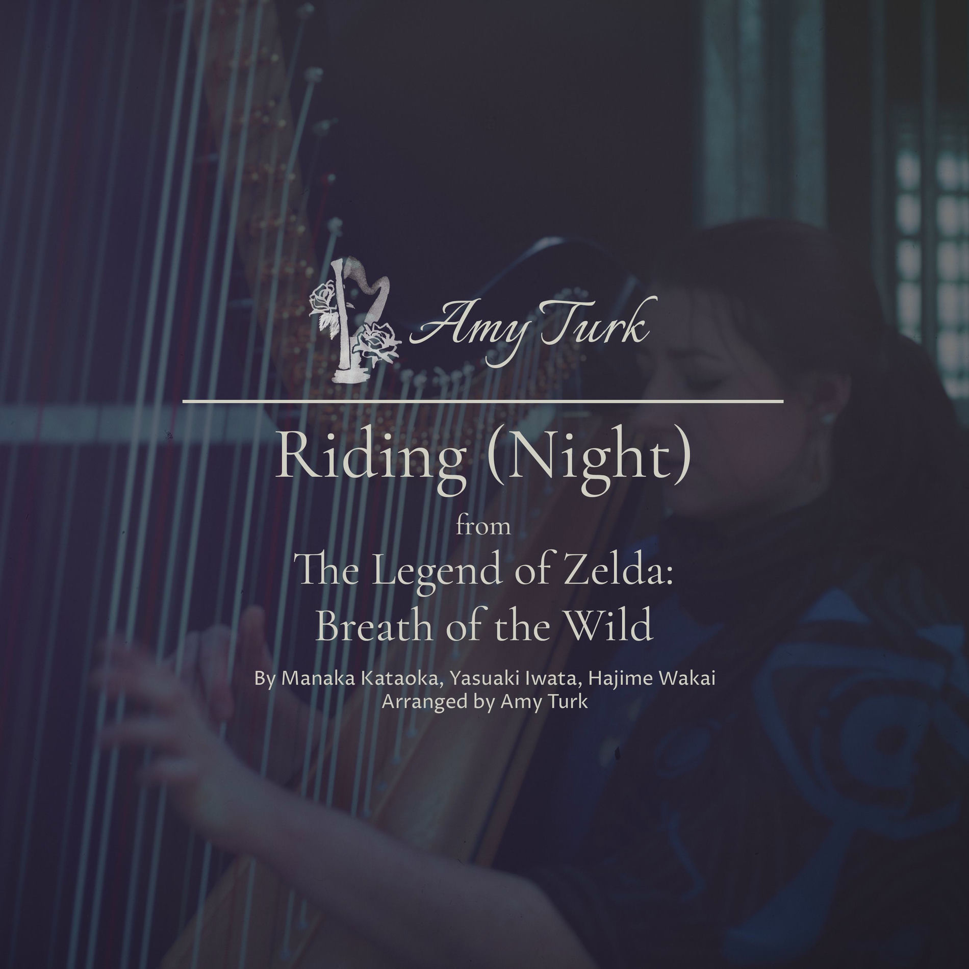 Album cover of Riding (Night) [feat. Patti Rudisill]
