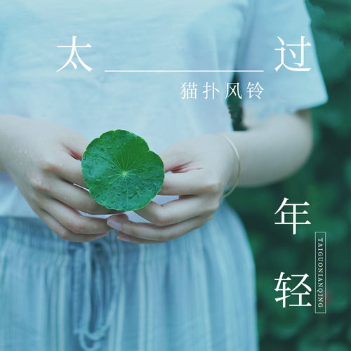 太过年轻