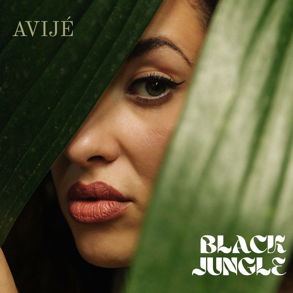 Pochette du titre Black Jungle