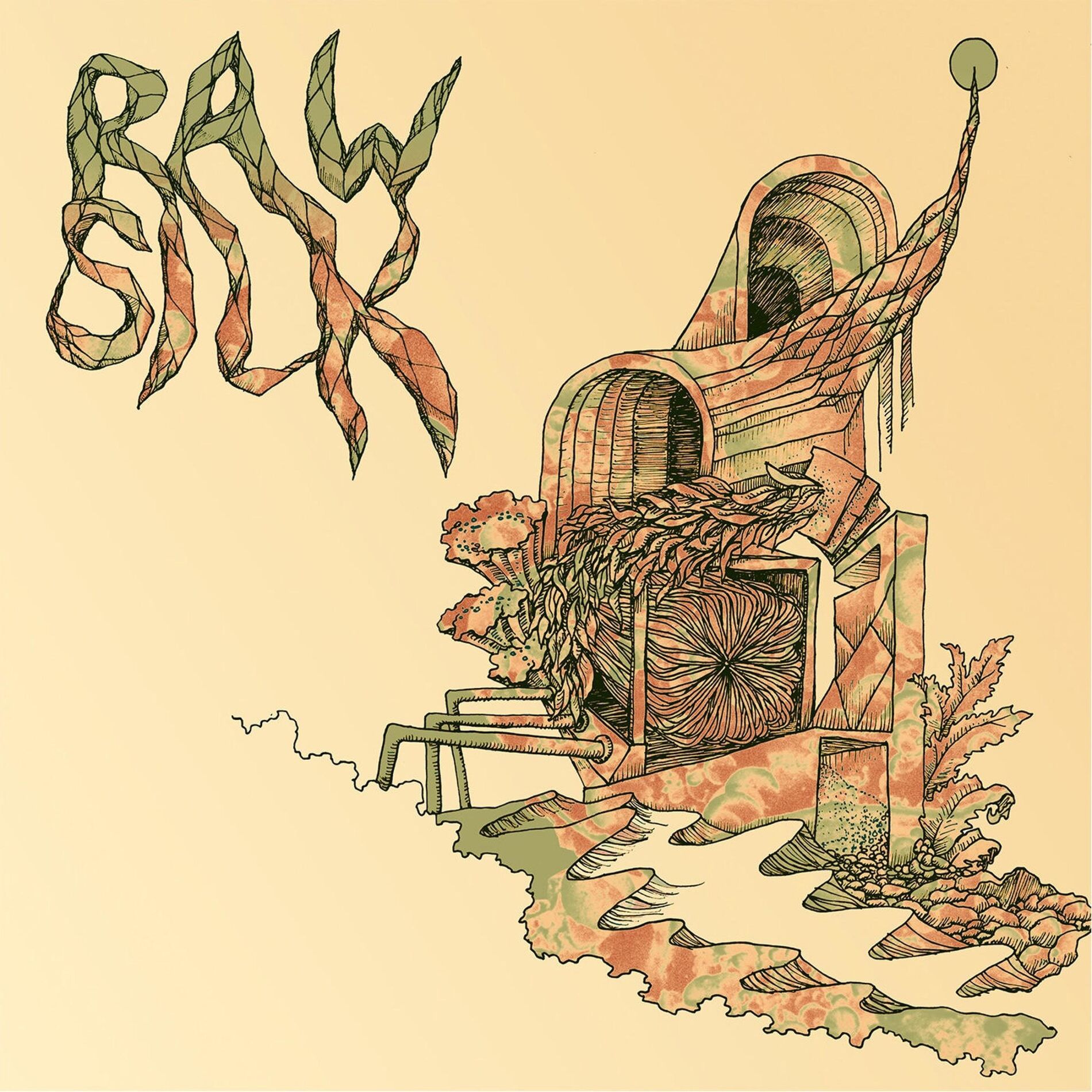 Album cover of Raw Silk