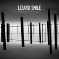 Wandering in Mirrors