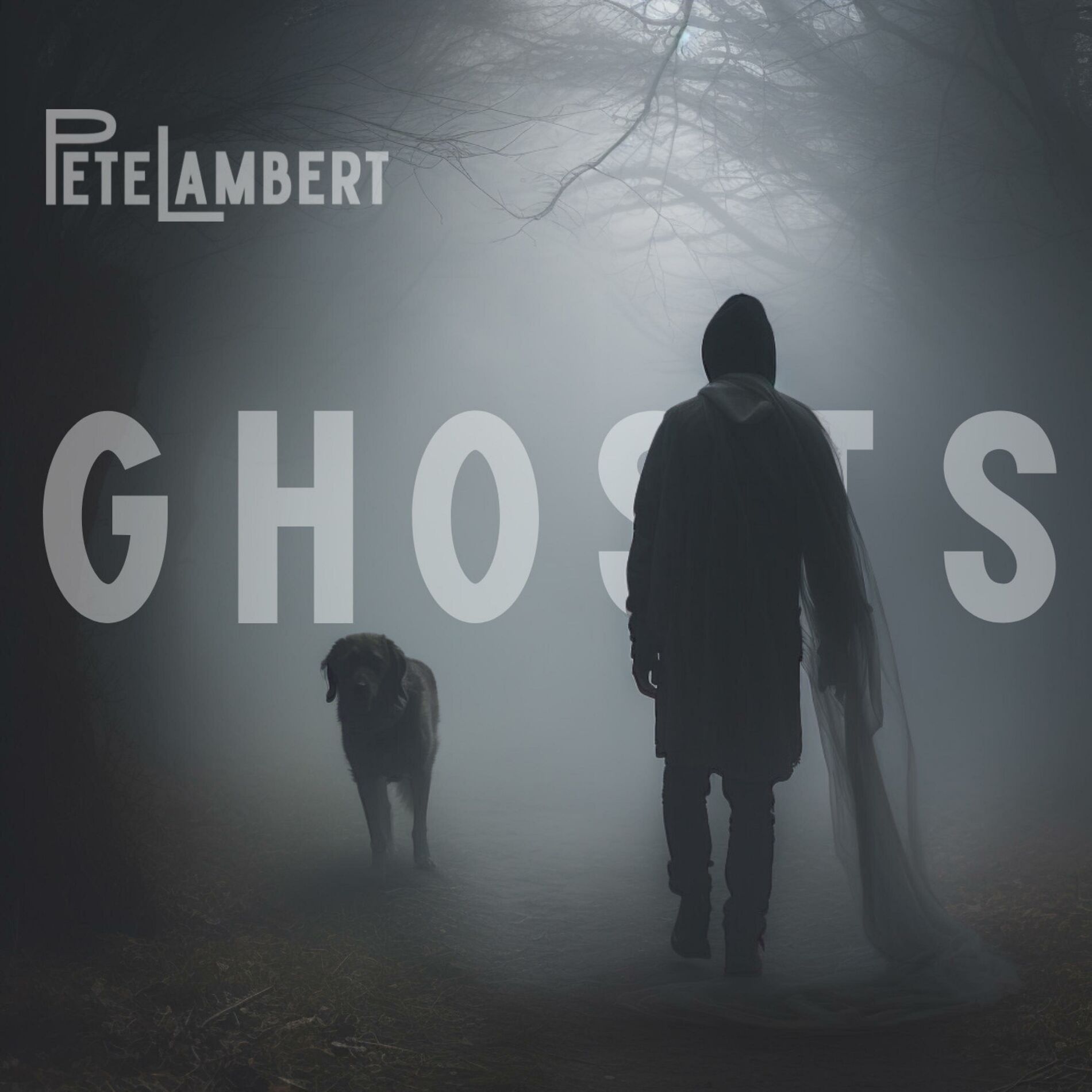 Album cover of Ghosts