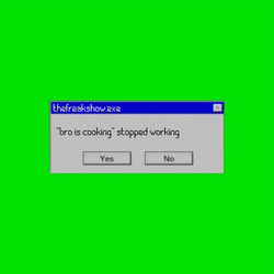 bro is cooking
