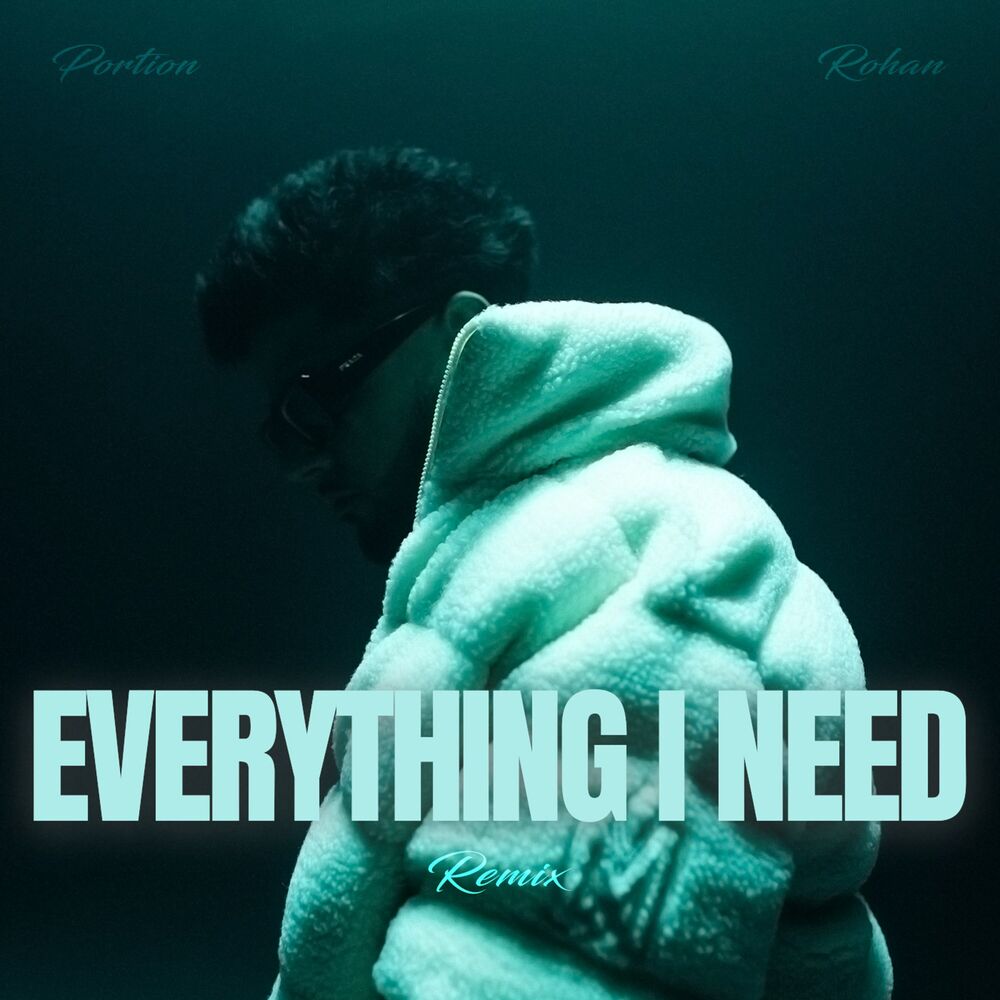 Picture of Everything I Need (Remix)