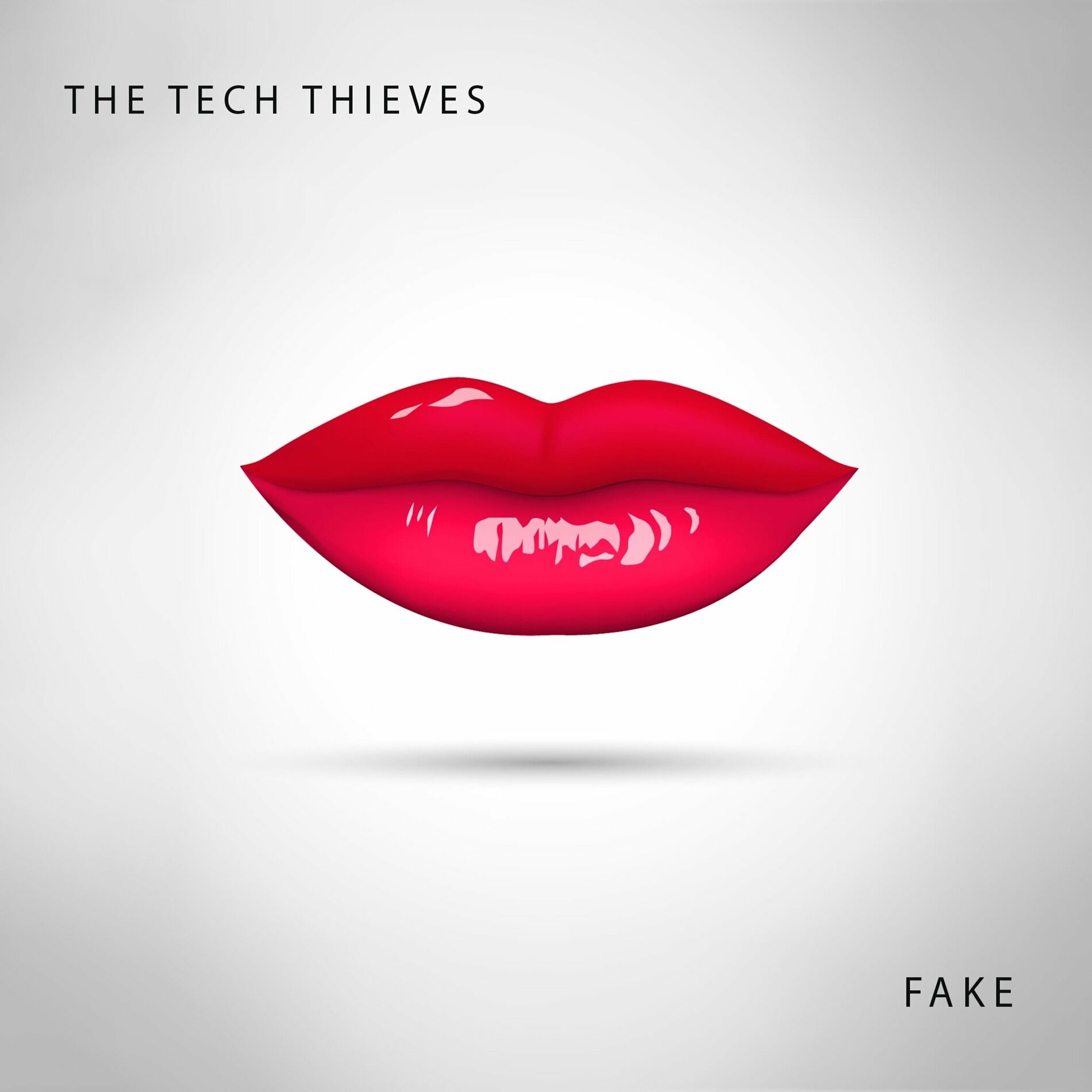 Album cover of Fake