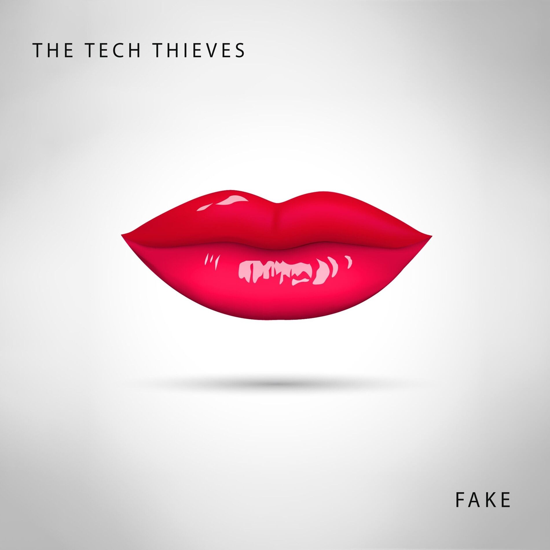 Album cover of Fake
