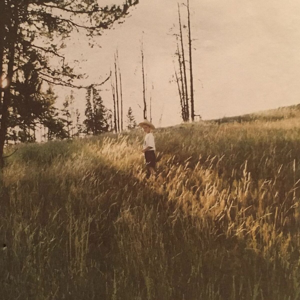 Album cover of Old Man