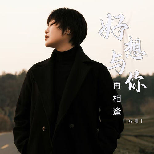 好想与你再相逢