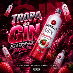 TROPA DO GIN - ELETROFUNK DESANDE