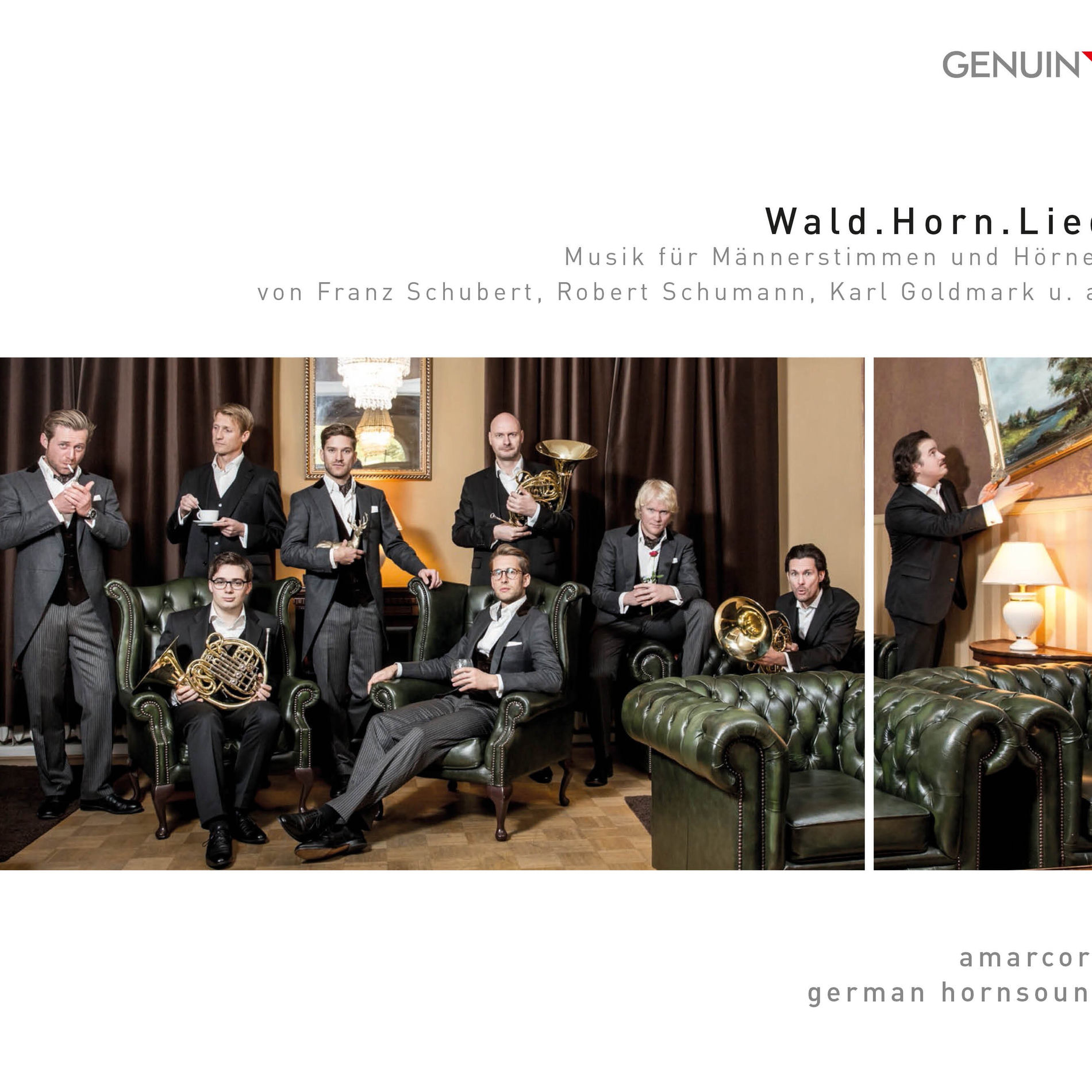 Album cover of Wald.Horn.Lied