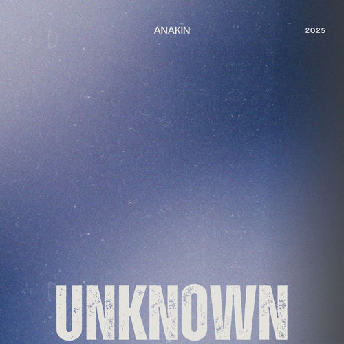 UNKNOWN sleeve