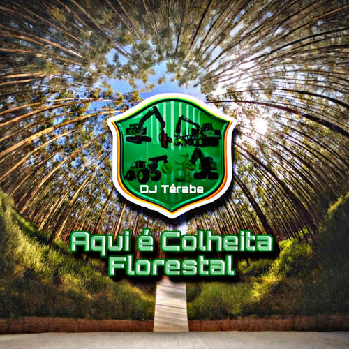 Aqui é Colheita Florestal